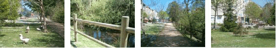 Paseo de Enrique Tierno Galván
